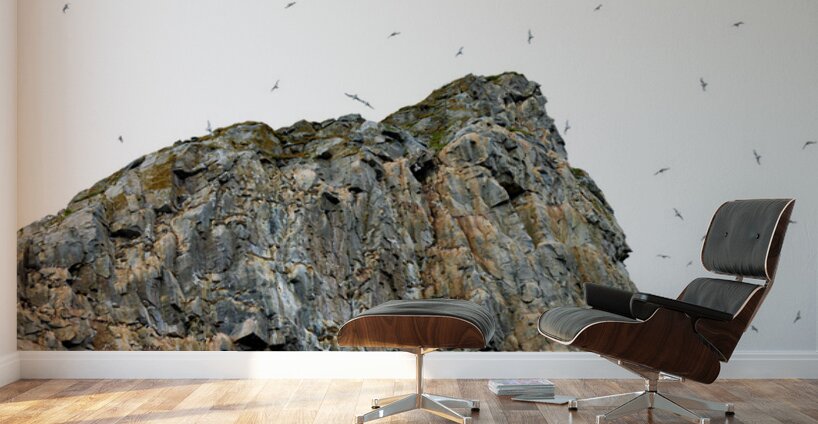 THE LIVING CLIFF Impression murale