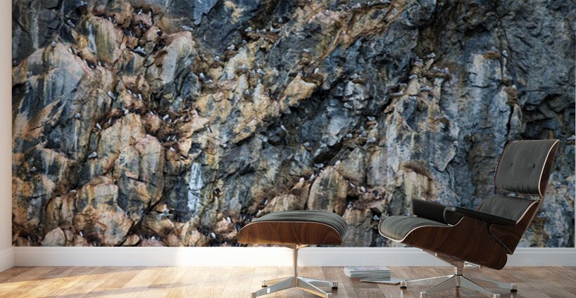CLIFF COLONIES Wall Murals