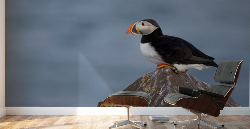 BETWEEN SEA SKY Impression murale