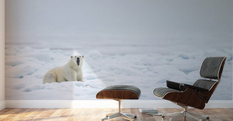 EMPRESS OF THE ARCTIC 7 Impression murale