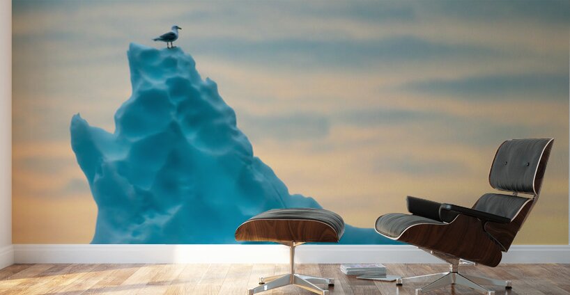 PERCHED Wall Murals