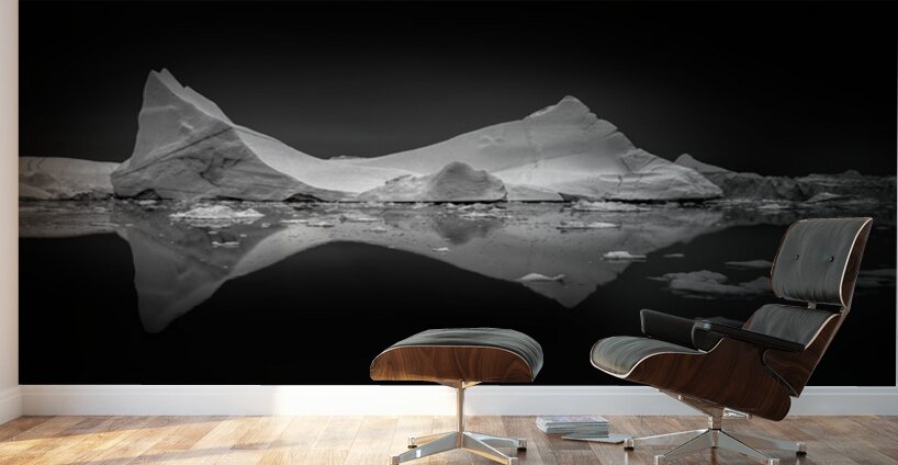 TRANQUILITY IN BLACK AND WHITE Wall Murals