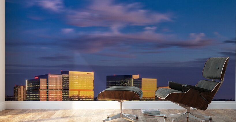 SANDY SPRINGS SKYLINE Wall Murals