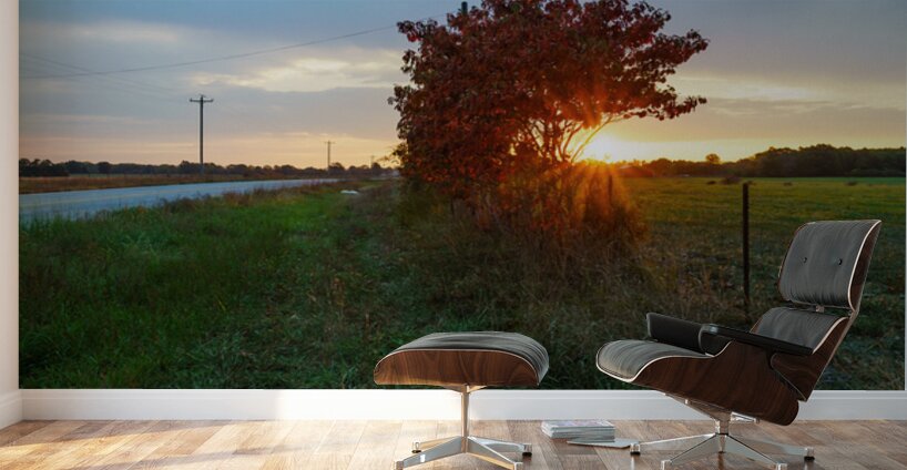 Red Sumac Tree Sunrise Countryside Wall Murals