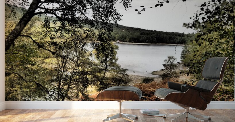 Loch Vaa Autumnal View                                                                                                                      Wall Murals