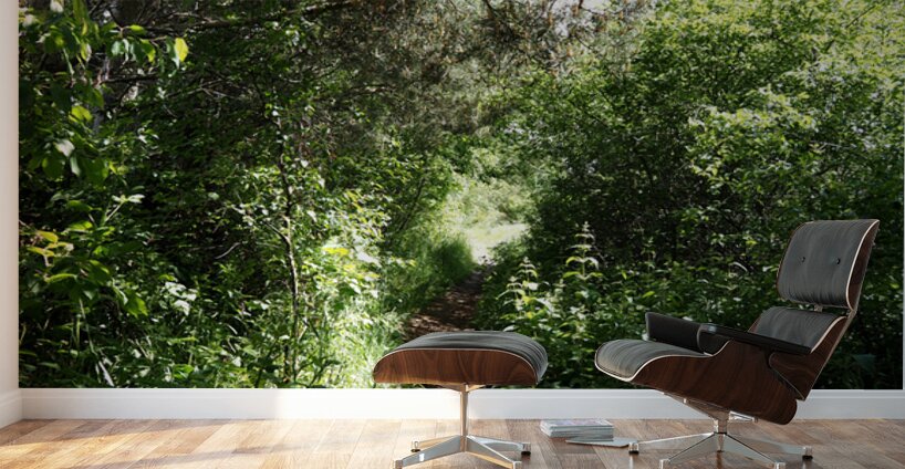 Scottish Highlands Sun Kissed Nature Trail                                                                                                                      Wall Murals