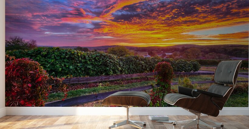 05 Spring Card Wall Murals