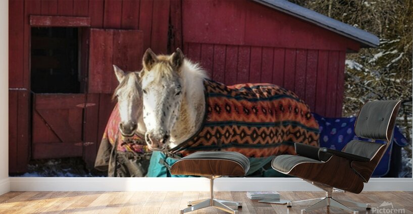 Horses in Winter Wall Murals