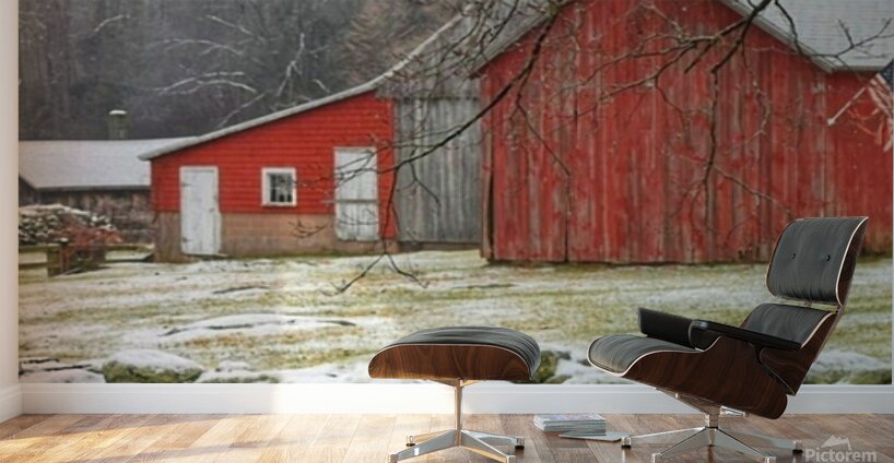 Rainy Day Wall Murals