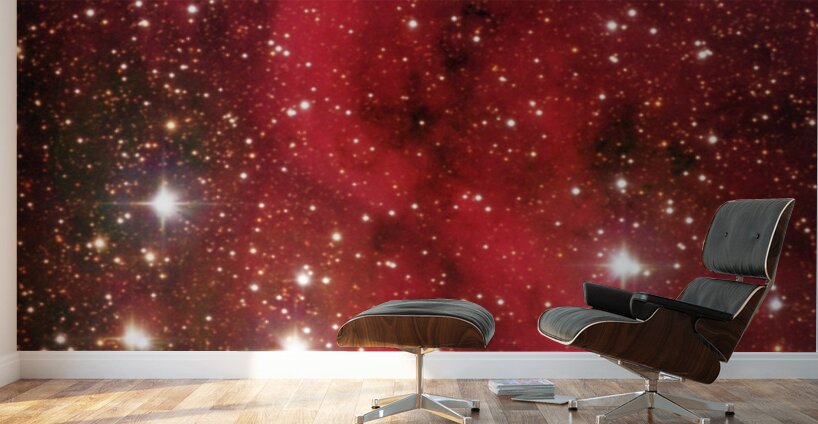 Astronight Astrophotography 4 Wall Murals