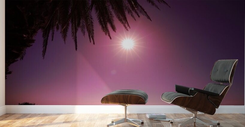 Astronight Astrophotography 9 Wall Murals