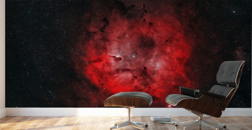 Elephant’s Trunk Nebula Wall Murals