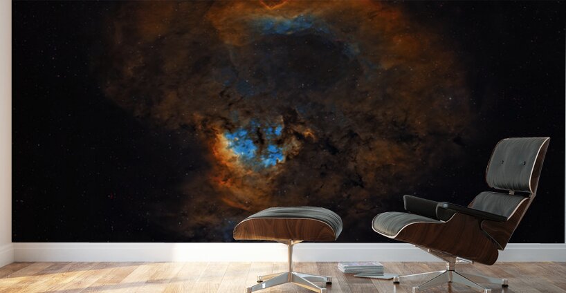 Emergence Wall Murals