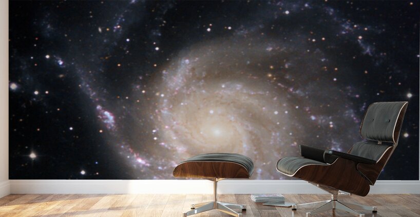 Pinwheel Galaxy Wall Murals