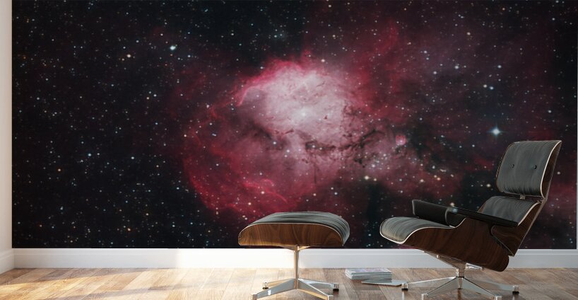 Stellar Nursery Wall Murals