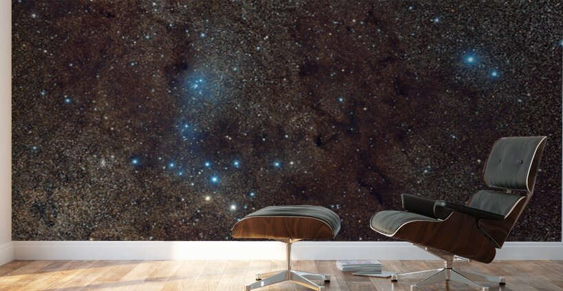 Veil of Dust and Stars Wall Murals