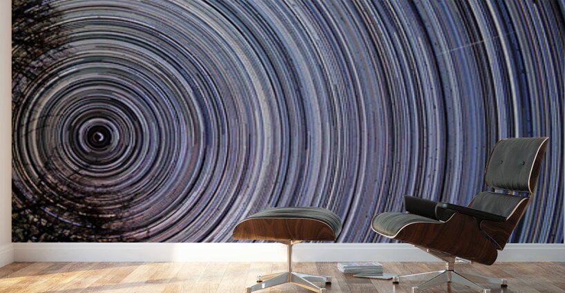 Axis of Night Wall Murals