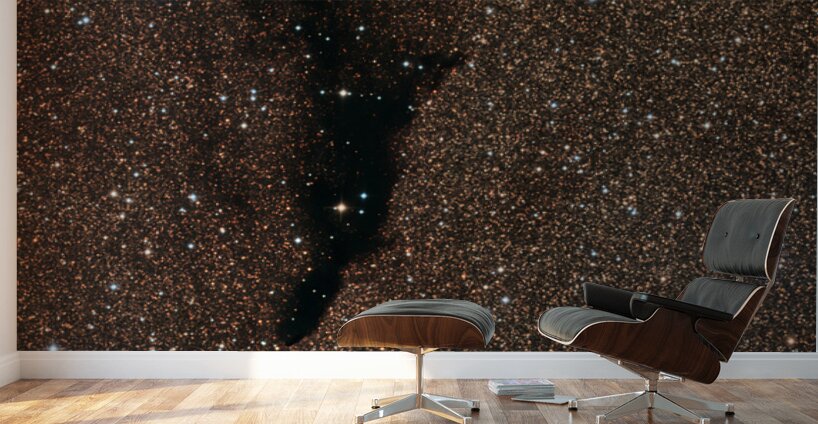 “Cosmic Negative Space” Wall Murals