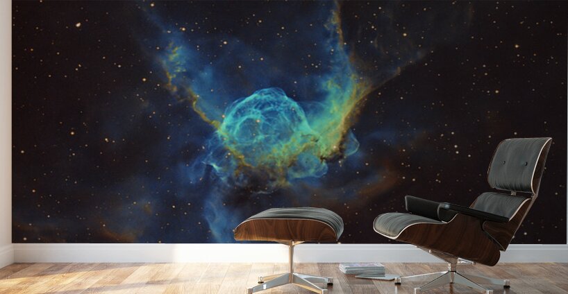 Thor’s Helmet — NGC 2359 Wall Murals