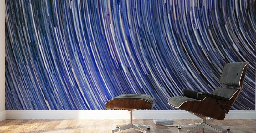 Circles of Time Wall Murals