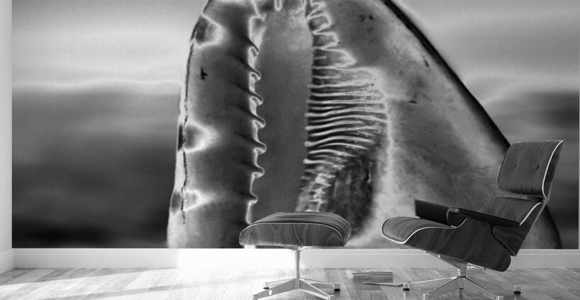 Hidden Architecture Wall Murals