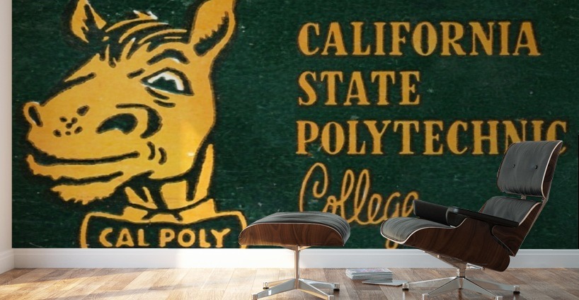 1955 California State Polytechnic Art  Wall Murals