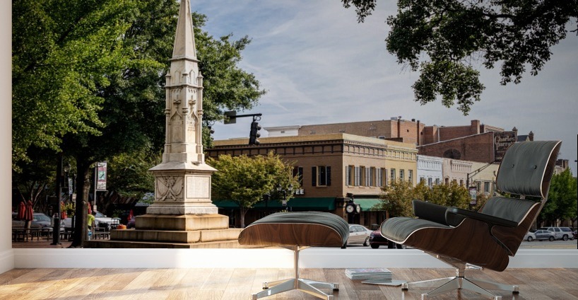 Confederate Monument Downtown Athens GA 9614 Wall Murals
