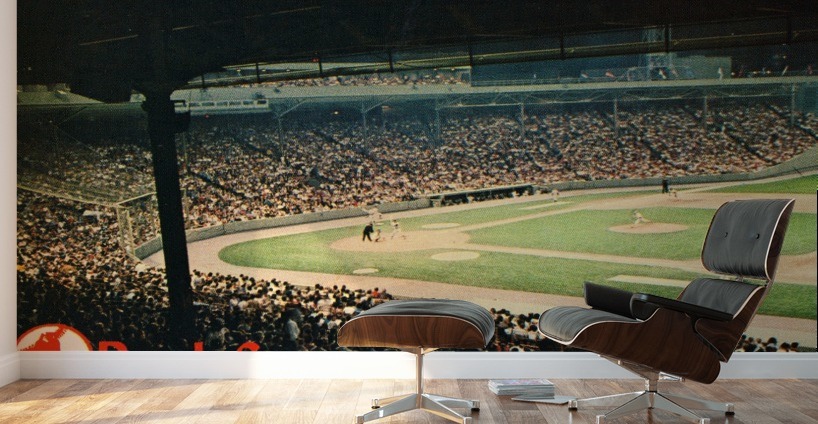 fenway park boston red sox Wall Murals