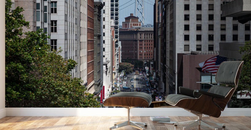 San Francisco City Scene Wall Murals