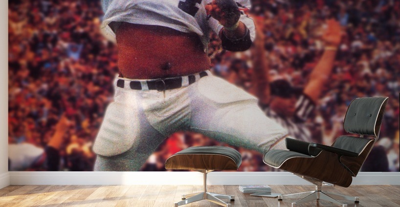 1983 Auburn Tigers Football Poster Wall Murals