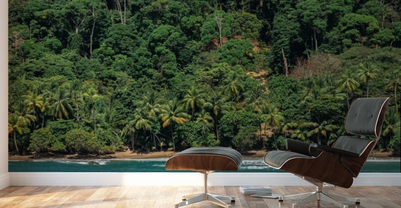 Costa Rica Beach Panorama  Wall Murals