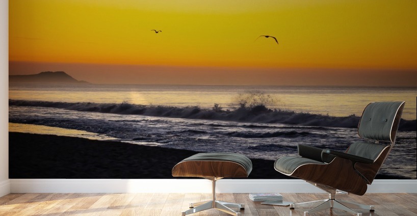 Seagull Sunrise Wall Murals