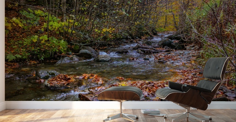 A Bigger Fall Strem Wall Murals