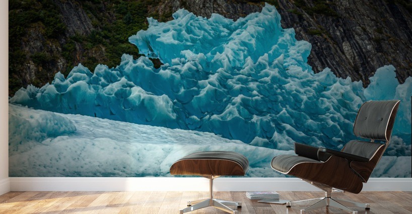 Prickely Iceburg Wall Murals