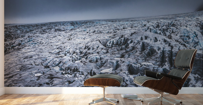 Field of ice Wall Murals