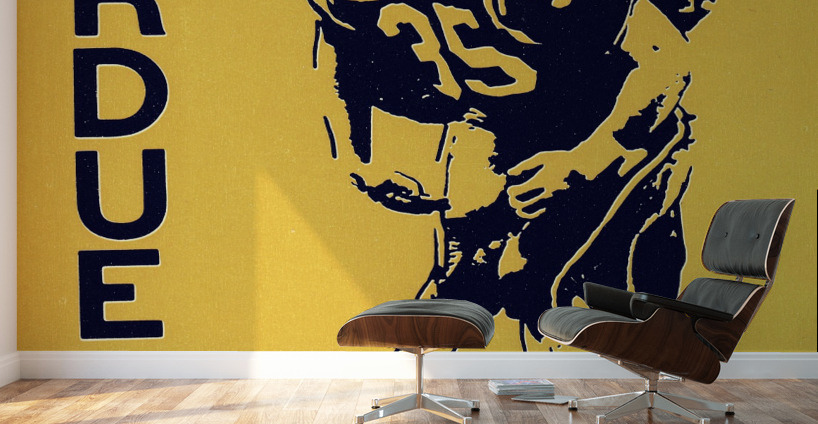 1974 Purdue Football Art Wall Murals