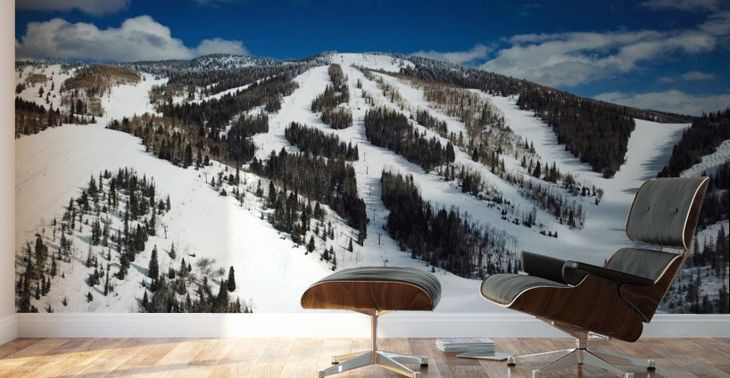Mid Mountain Views Wall Murals