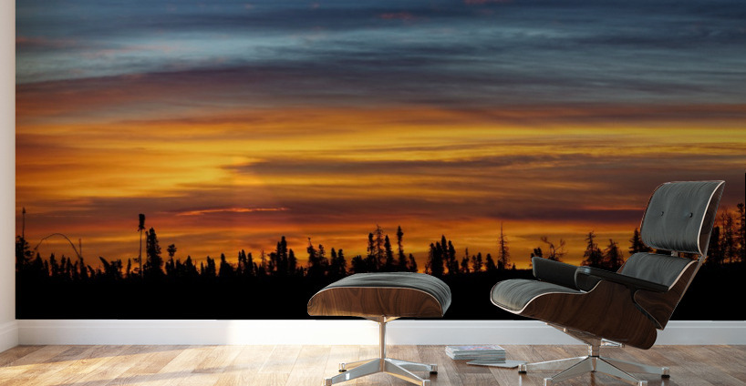 Sunrise Wall Murals
