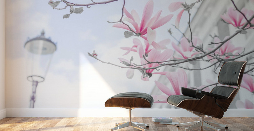 Magnolia flowers Wall Murals