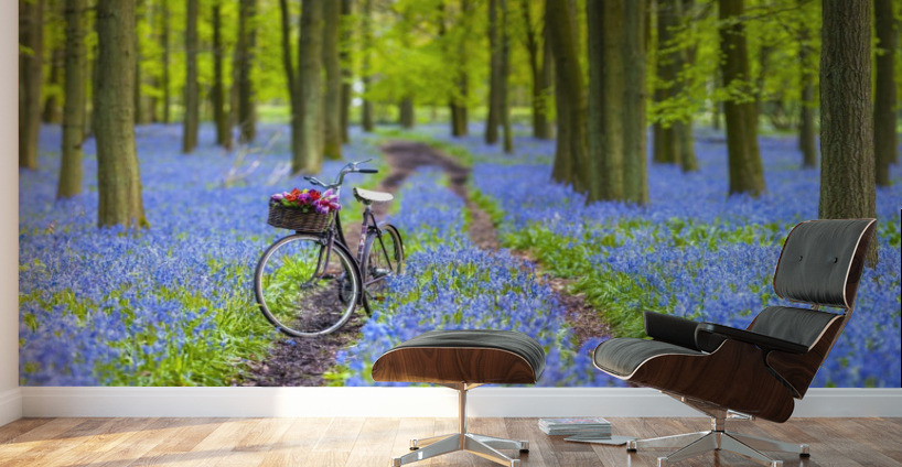 Bicycle in spring forest Wall Murals