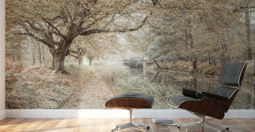 Canal through a forest Wall Murals
