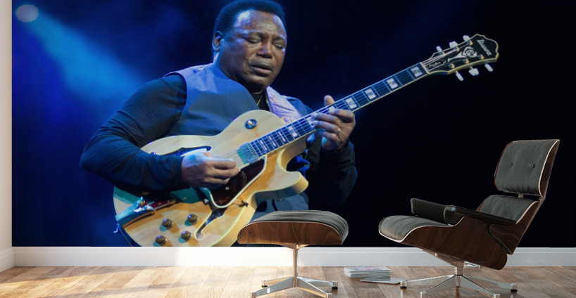 George Bensen 2 Wall Murals