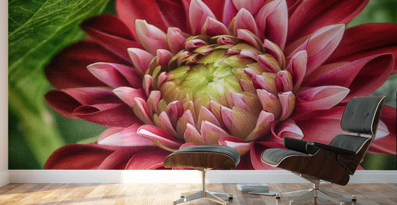 the hidden Wall Murals