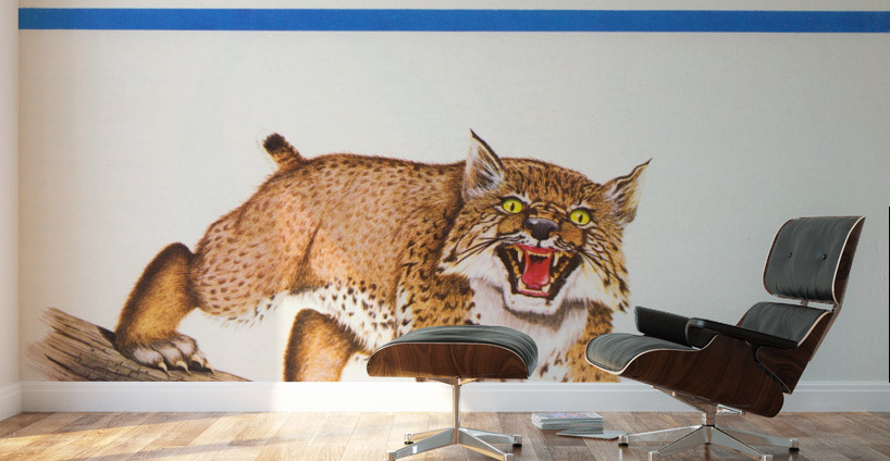 1969 Ole Miss Rebels at Kentucky Wildcats Wall Murals