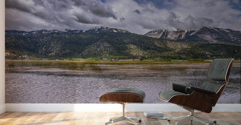 Misty Washoe Valley Wall Murals