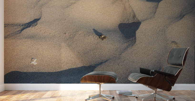 Out for a strole Wall Murals