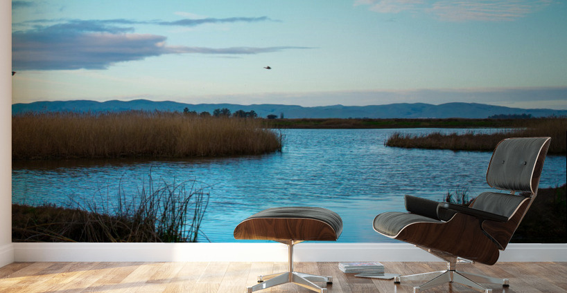 20190228 DSC 0066 2 Wall Murals