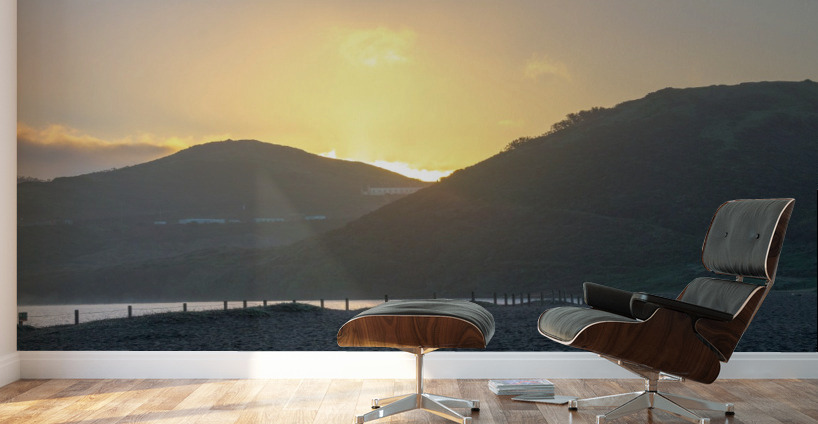 20200208 DSC 0305 Wall Murals