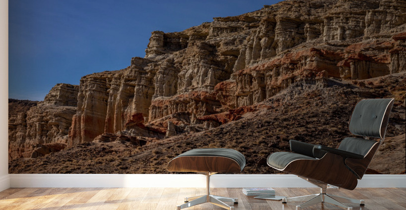 Red Rock Canyon Cliff Wall Murals