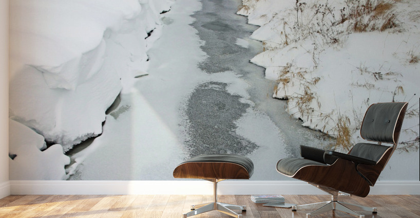 Rural Winter Creek Wall Murals